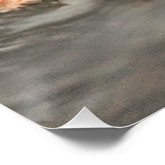 アヒル ポスター (コーナー)