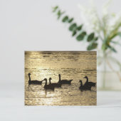 アヒル ポストカード (スタンド正面)