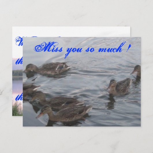 アヒル ポストカード (正面/裏面)