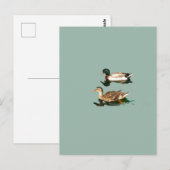 アヒル ポストカード (正面/裏面)