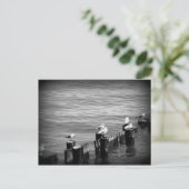 アヒル ポストカード (スタンド正面)