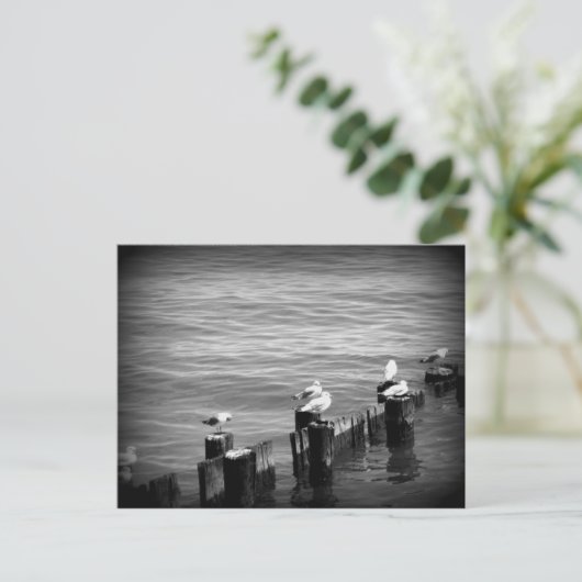 アヒル ポストカード (スタンド正面)