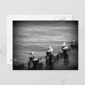 アヒル ポストカード (正面/裏面)