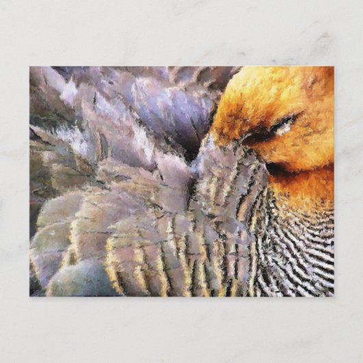 アヒル ポストカード (正面)