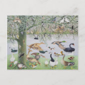 アヒル ポストカード (正面)