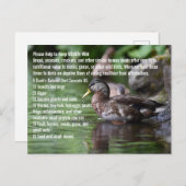 アヒル ポストカード (正面/裏面)