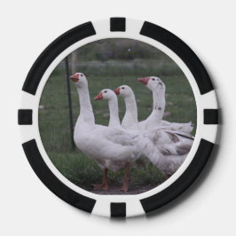 アヒル ポーカーチップ