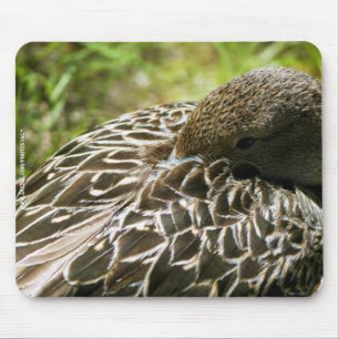 アヒル マウスパッド