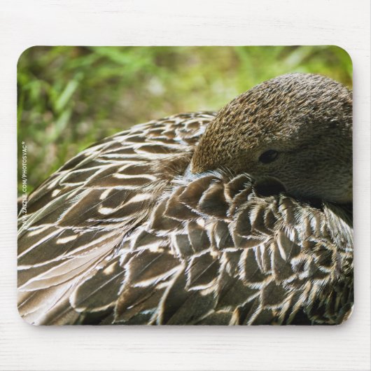 アヒル マウスパッド (正面)