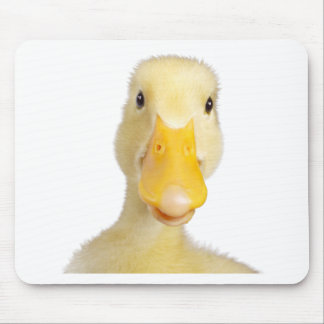 アヒル マウスパッド