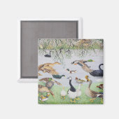 アヒル マグネット (正面/裏面)