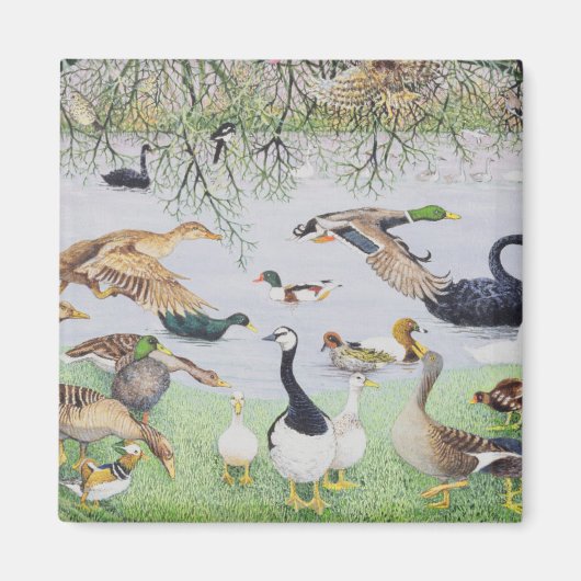 アヒル マグネット (正面)