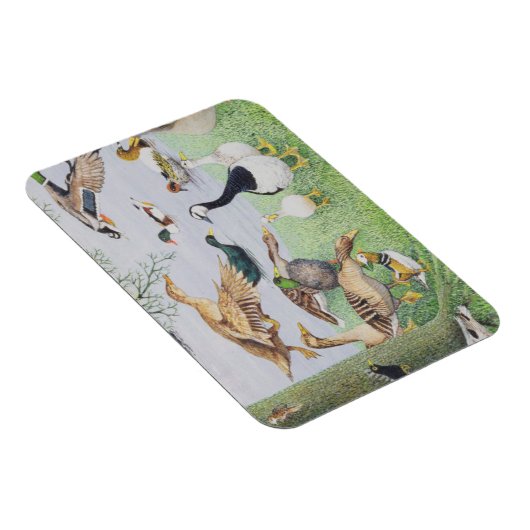 アヒル マグネット (右側)