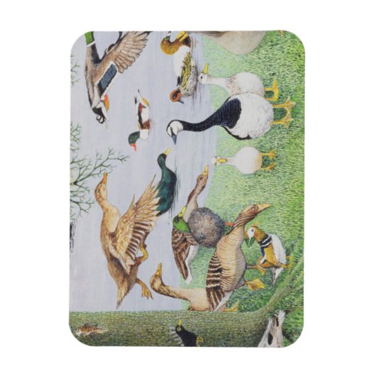 アヒル マグネット (縦)