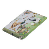 アヒル マグネット (左側)