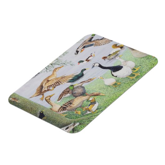 アヒル マグネット (左側)