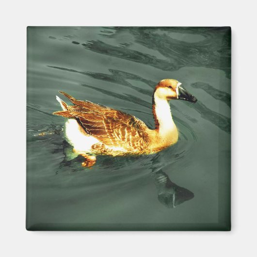 アヒル マグネット (正面)