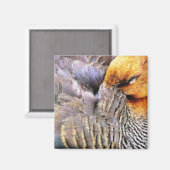 アヒル マグネット (正面/裏面)