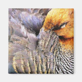 アヒル マグネット (正面)