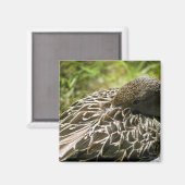 アヒル マグネット (正面/裏面)