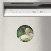 アヒル マグネット (インサイチュ (食洗機))