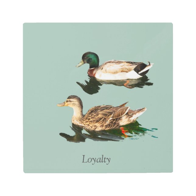 アヒル メタルプリント (正面)