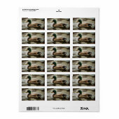 アヒル ラベル (フルシート)