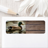 アヒル ラベル (インサイチュ)