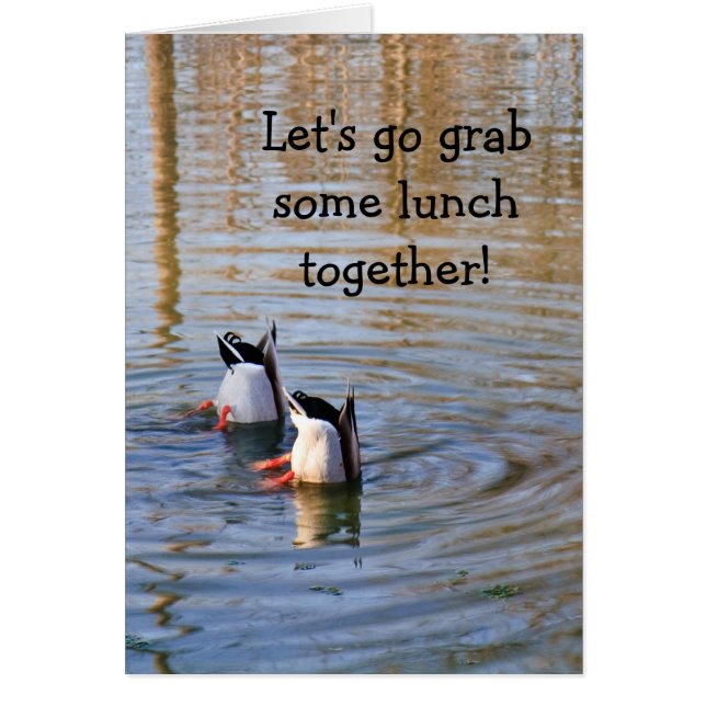 アヒル・ランチ (正面)