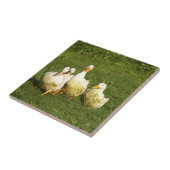 アヒル,住む,牧草地,動物,農場,田舎暮らし タイル (側面)