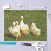アヒル，住む，牧草地，動物，農場，田舎暮らし 薄葉紙 (クラフト)