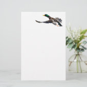 アヒル 便箋 (スタンド正面)