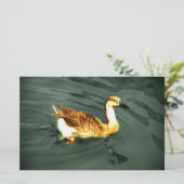 アヒル 便箋 (スタンド正面)