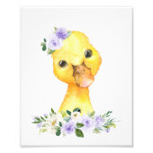アヒル，家畜，紫色の花男女兼用, フォトプリント            (正面)