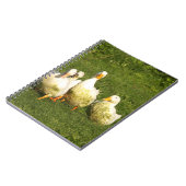 アヒル, 生きている, 牧場, 動物, 農場, 農村生活, ノートブック (左側)