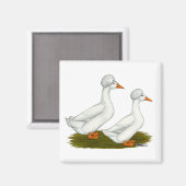 アヒル：白いクリステッド マグネット (正面/裏面)