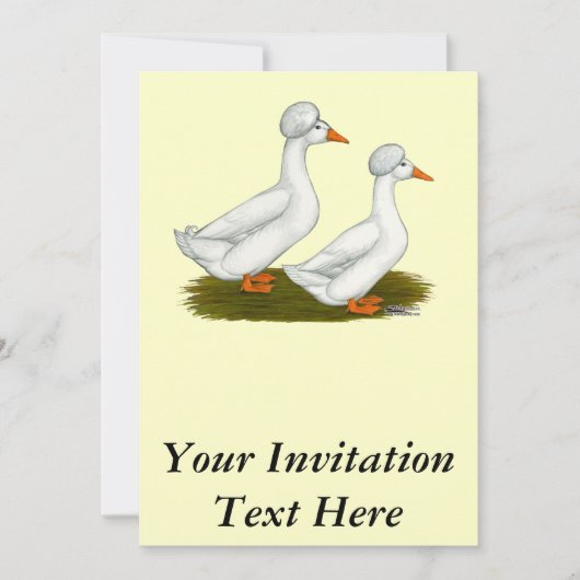 アヒル：白いクリステッド 招待状 (正面)