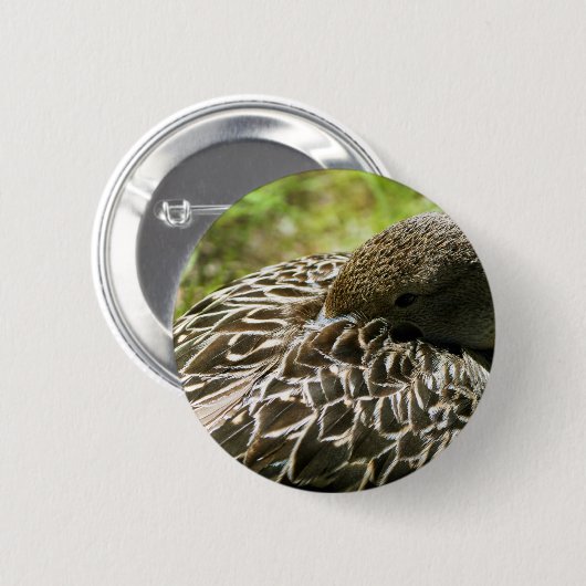 アヒル 缶バッジ (正面&裏面)