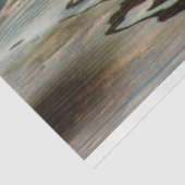 アヒル 薄葉紙 (詳細)