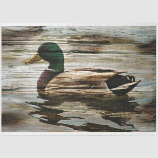 アヒル 薄葉紙 (正面)