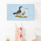 アヒル: 銀製のAppleyard 横断幕 (インサイチュ)