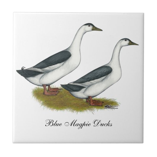 アヒル：青いマグパイ タイル (正面)