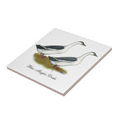 アヒル：青いマグパイ タイル (側面)