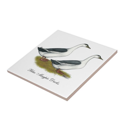 アヒル:青いマグパイ タイル (側面)