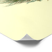 アヒル：黒いクリステッド ポスター (角)