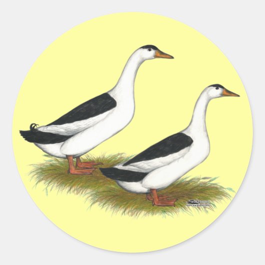 アヒル:黒いマグパイ ラウンドシール (正面)