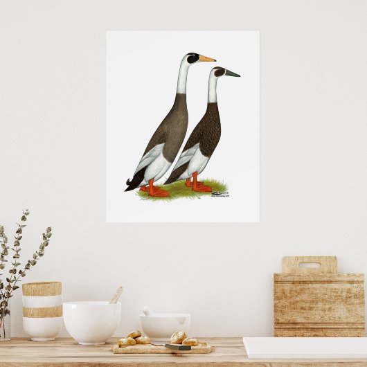 アヒル： Emery Penciled Runners ポスター (キッチン)