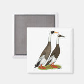 アヒル： Emery Penciled Runners マグネット (正面/裏面)