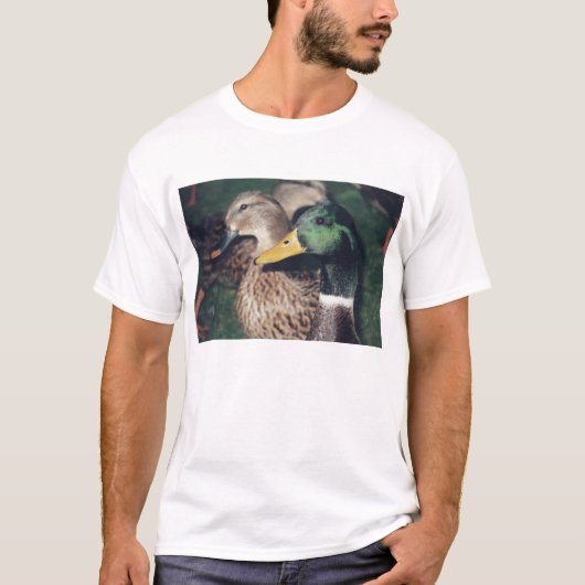 アヒル Tシャツ (正面)