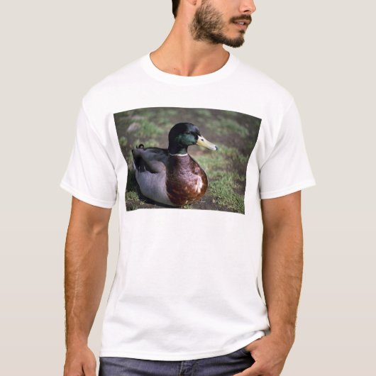 アヒル Tシャツ (正面)